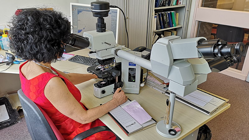 A woman looking through a microscope