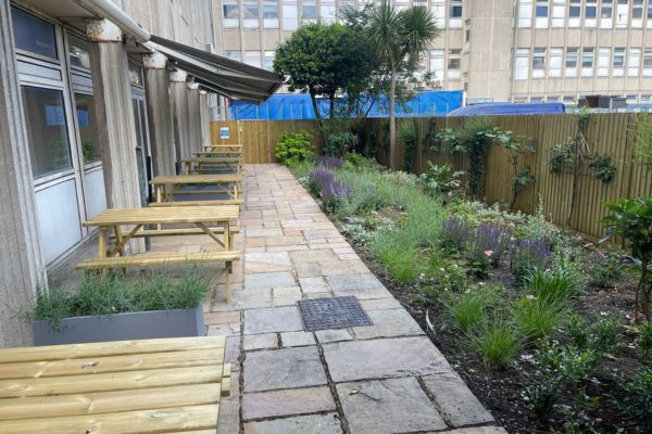 Picnic benches beside colourful flowers and planet.